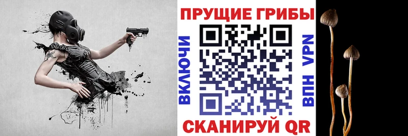 Купить где  Конаково  Галлюциногенные грибы ЛСД 